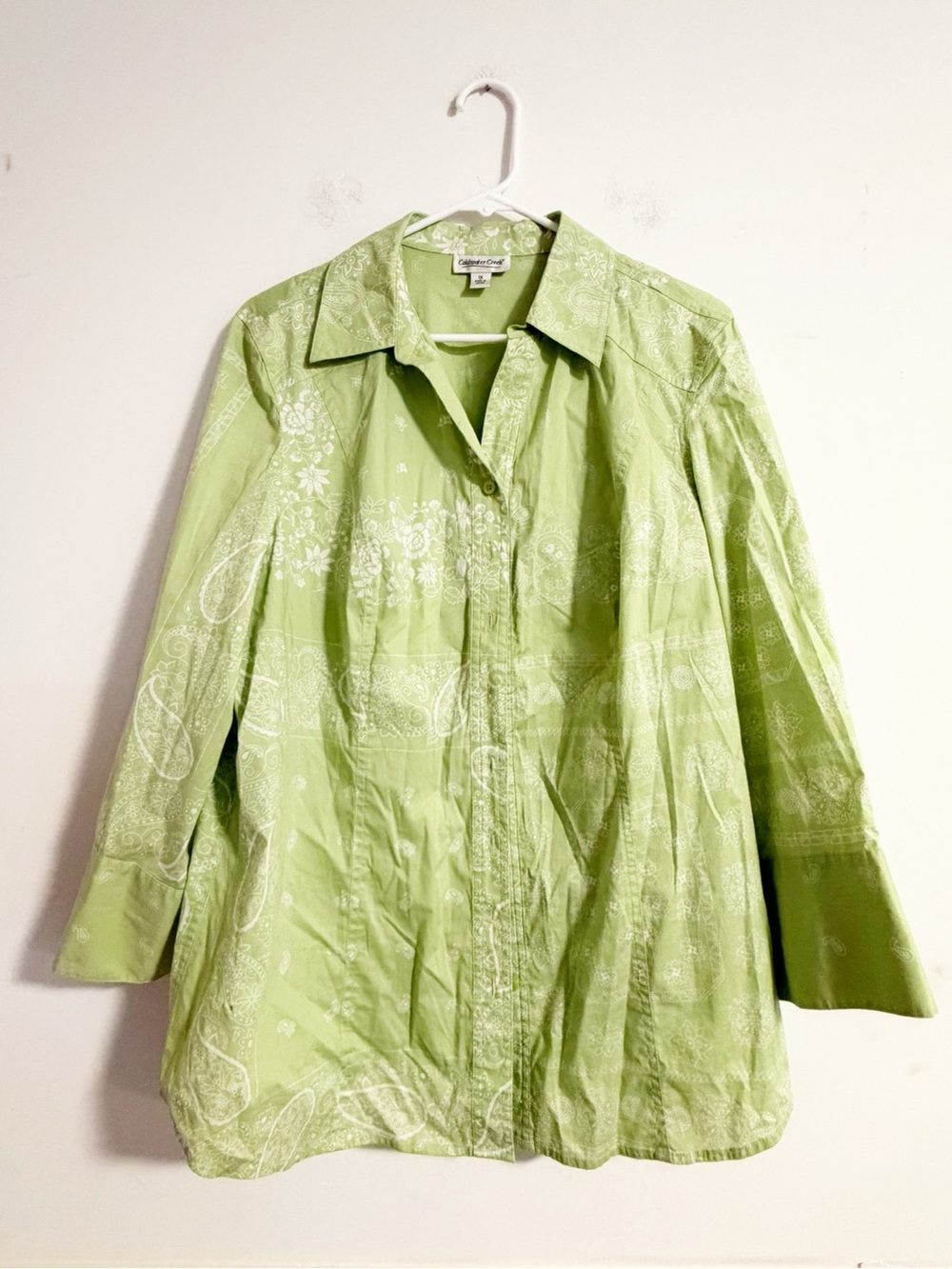 Coldwater Creek Green Paisley Button Front Shirt 1X Cotton Blend TLC Small Hole